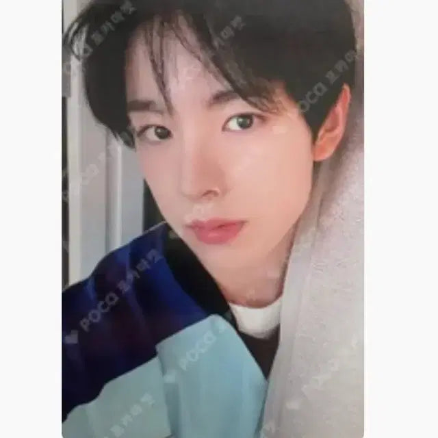 엔시티 위시 유우시 디마뮤 포카 양도