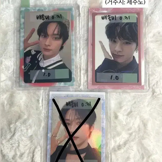 스트레이키즈 리노포카 양도