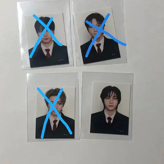 보넥도 닥터지 증사