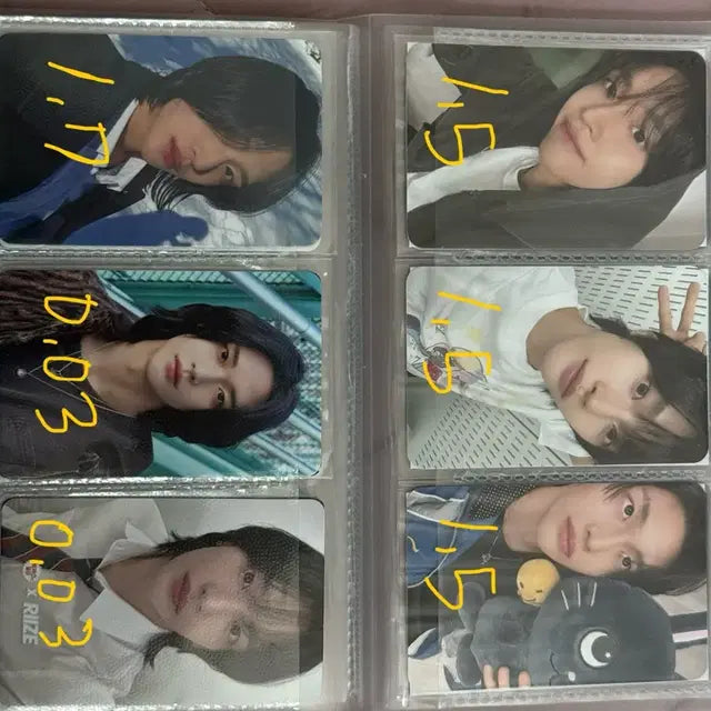 라이즈 원빈 포카 양도
