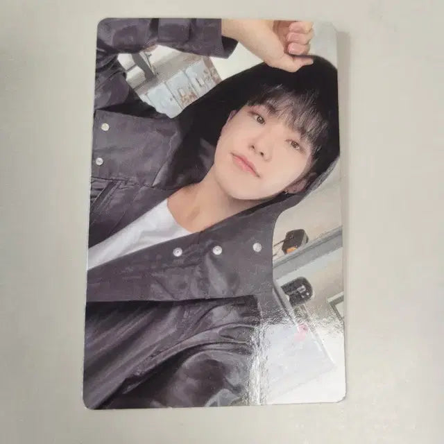 세븐틴 호시 fml 포토카드 포카
