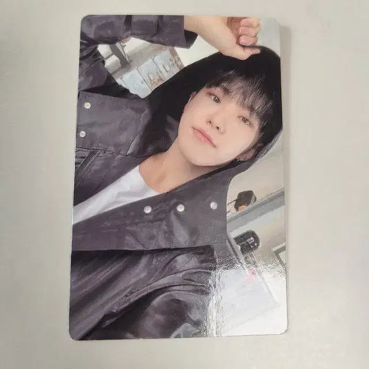 세븐틴 호시 fml 포토카드 포카