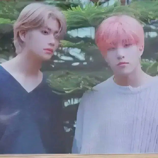 [찾습니다] 전화해 문빈