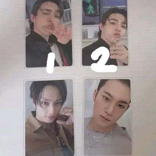 세븐틴 포카(일괄.개별)