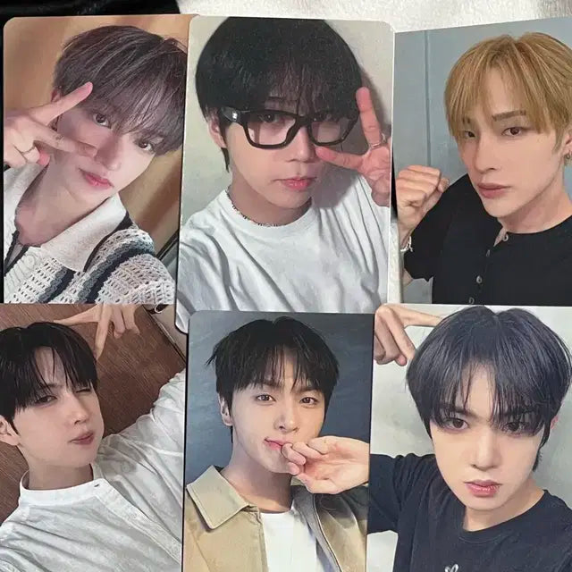 배칠삼 포카 양도