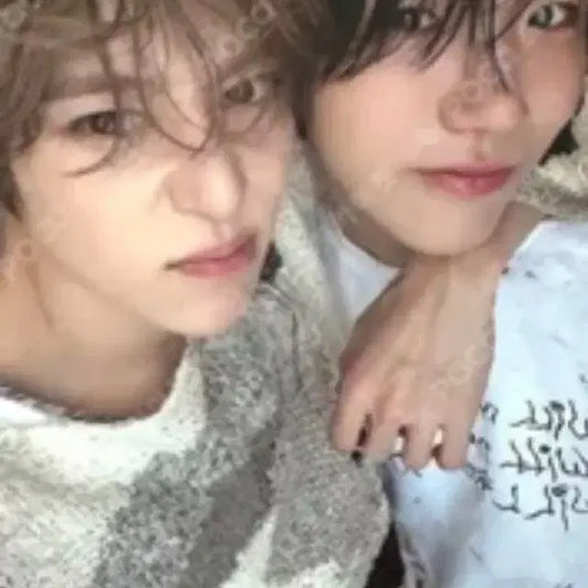엔시티 위시 스테디 유닛 트레카 시온 재희 포카 양도