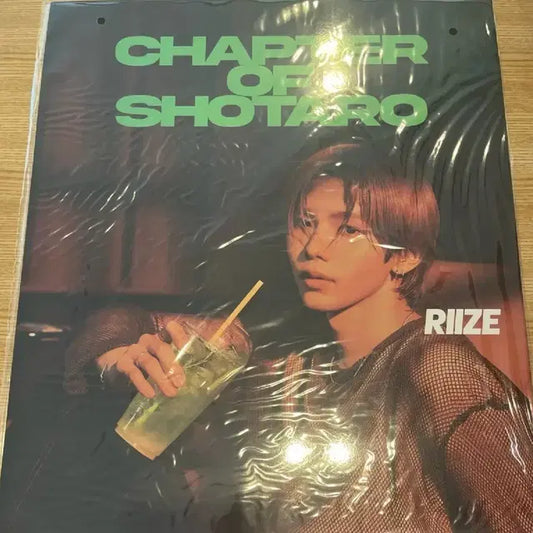 라이즈 메가 포스터