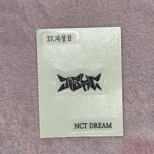 엔시티드림 샌드위치 띠부씰 지성