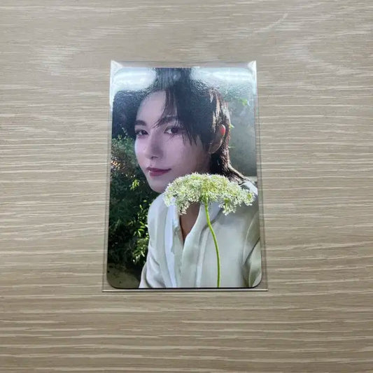 DREAMSCAPE 엔시티 런쥔 위드뮤 럭키드로우 포카 양도