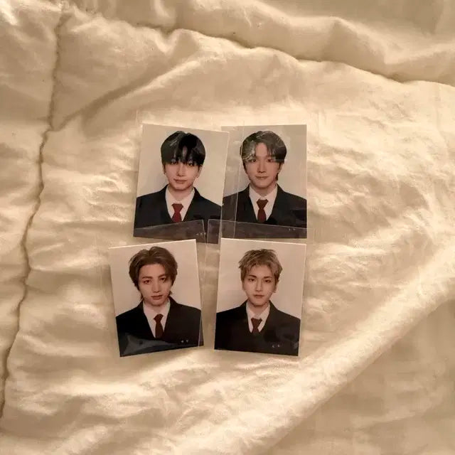 (최저가!!) 보넥도 보이넥스트도어 닥터지 증사 판매