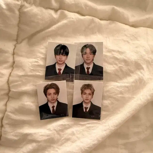 (최저가!!) 보넥도 보이넥스트도어 닥터지 증사 판매