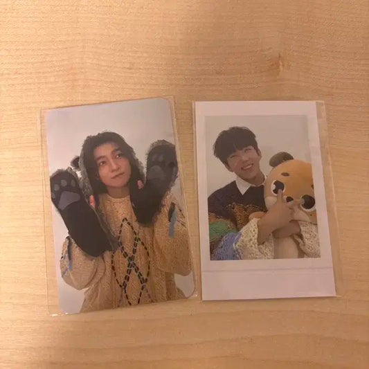 데이식스 포카