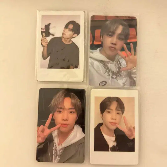 더보이즈 선우 포카