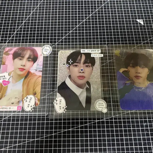 처분)) 더보이즈 포카 뉴 현재 큐 선우
