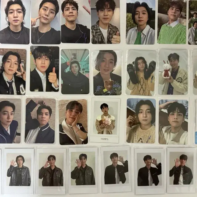 데이식스 공식포토카드 일괄 양도