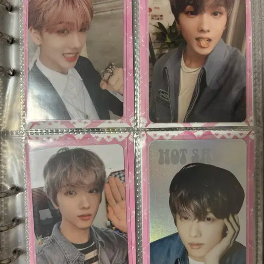 엔시티 지성 포카 양도