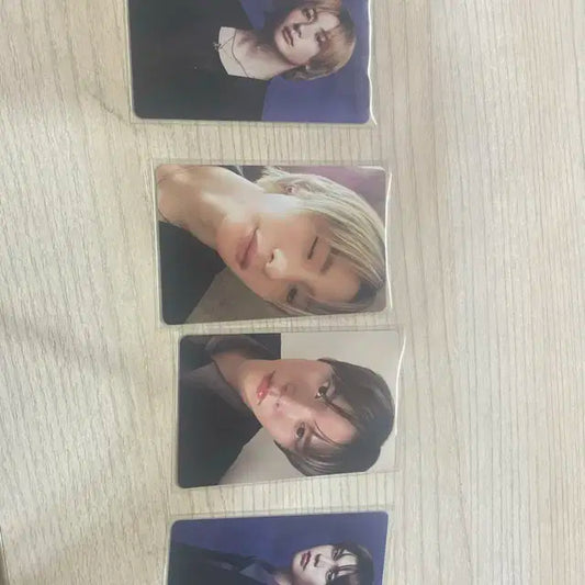 라이즈 시그 포카