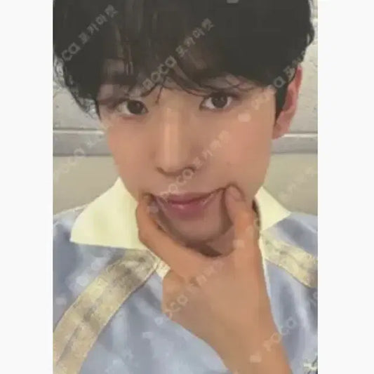 스테디 위드뮤 유우시