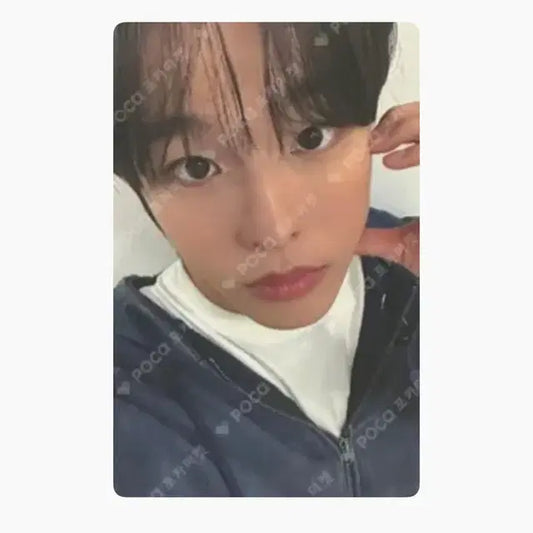 스테디 위드뮤 리쿠 포카