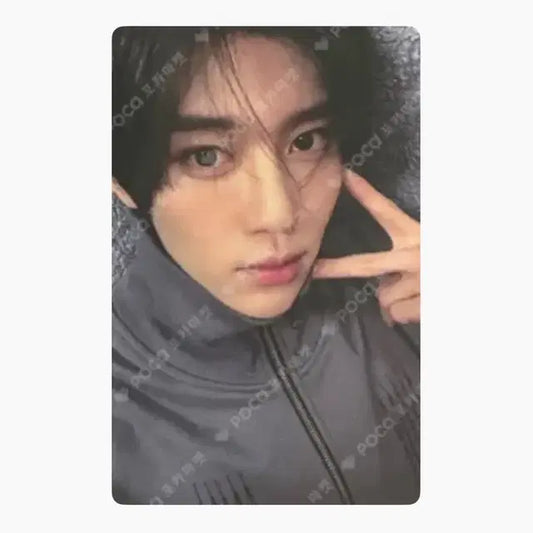 스테디 위드뮤 시온 포카