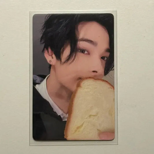엔하이픈 니키 이즈위 식빵 포카 데이드림 미공포