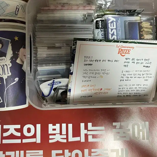 라이즈 공굿 비공굿 일괄