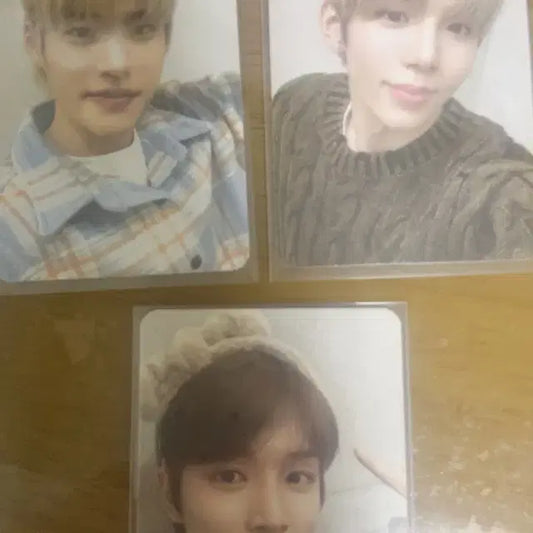 라이즈 크리스마스 포카 일괄 (3장)