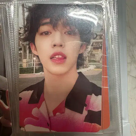 세븐틴 헹가래 에스쿱스 포카