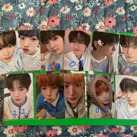 엔시티 위시 (유우시, 리쿠, 사쿠야) 포카 양도