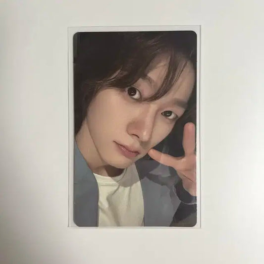 보넥도 19.99 위버스 국대 성호 포카