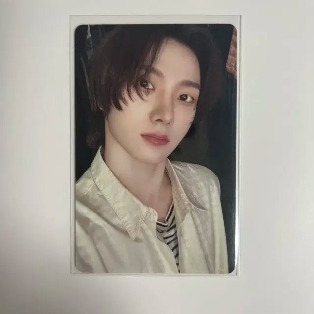 보넥도 19.99 성호 포카