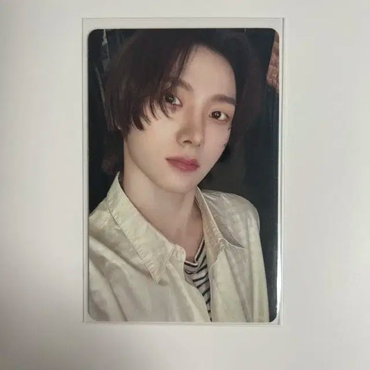 보넥도 19.99 성호 포카