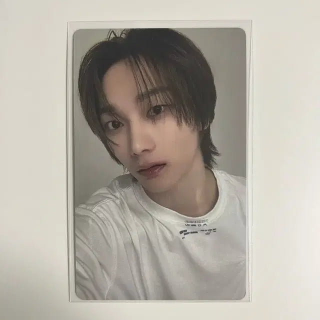 보넥도 19.99 클링크 위버스 성호 포카