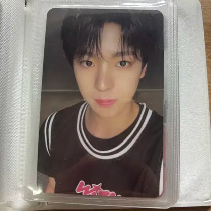 엔시티위시 스테디