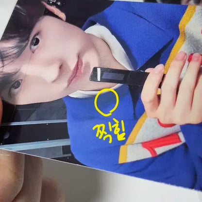 엔시티위시 포카 양도