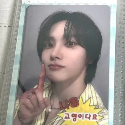 보넥도 성호 엠투유 컴백쇼 포카