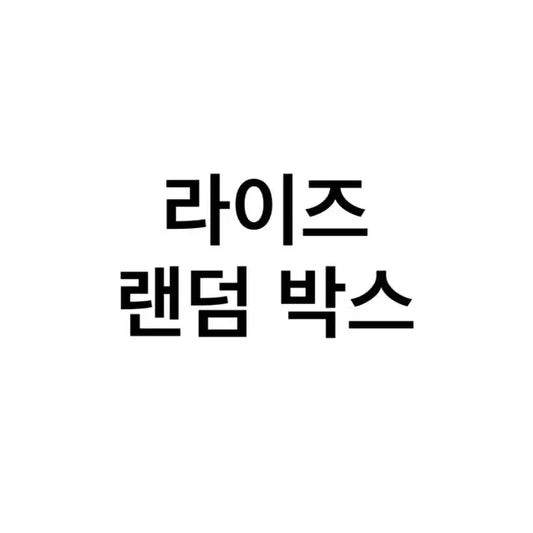 라이즈 랜덤 박스