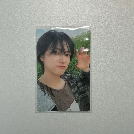 보넥도 why letter 버전 성호 포카 양도
