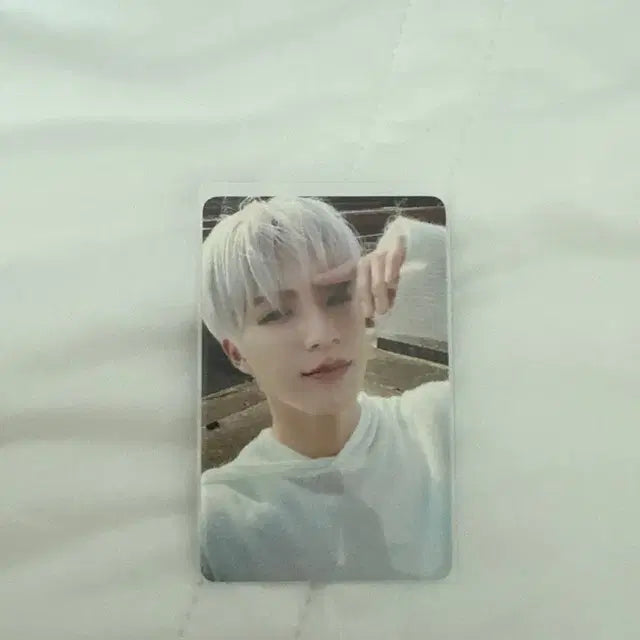 istj 위드뮤 럭드 제노
