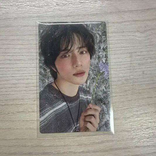 범규 치카이 리미티드B포카 투바투