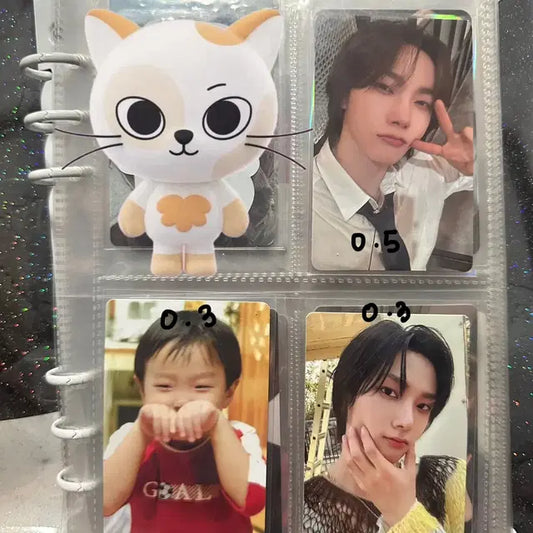 보넥도 성호 포카 양도