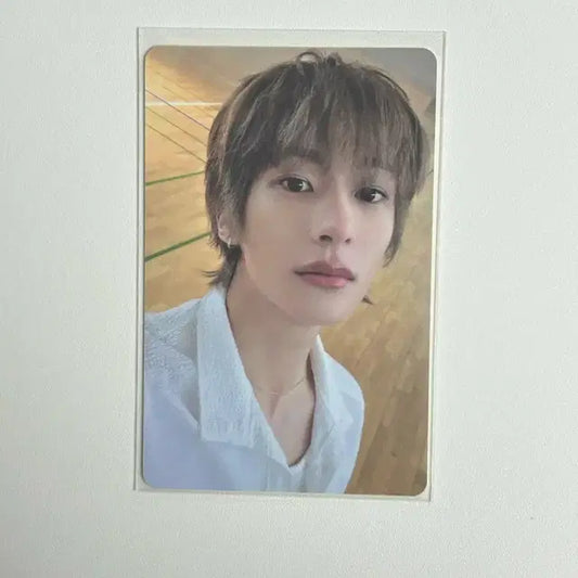 앤톤 메가 스미니 포카