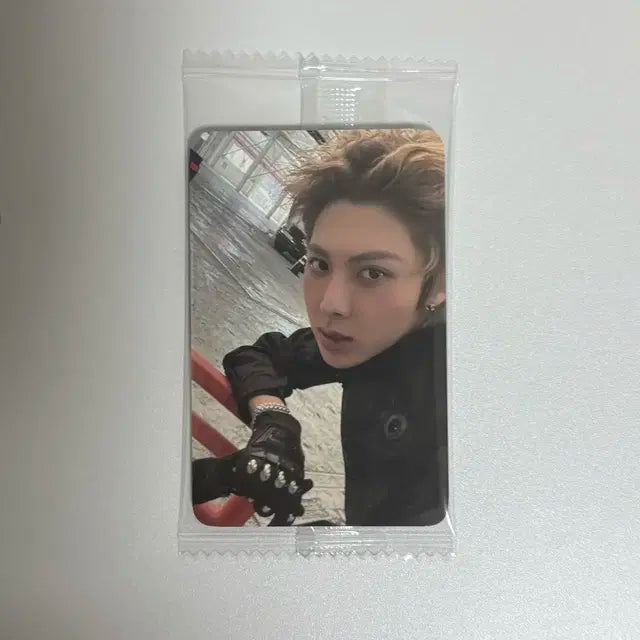 올데이프로젝트 올데프 우찬 포토카드 포카 케이타운포유 케타포 양도