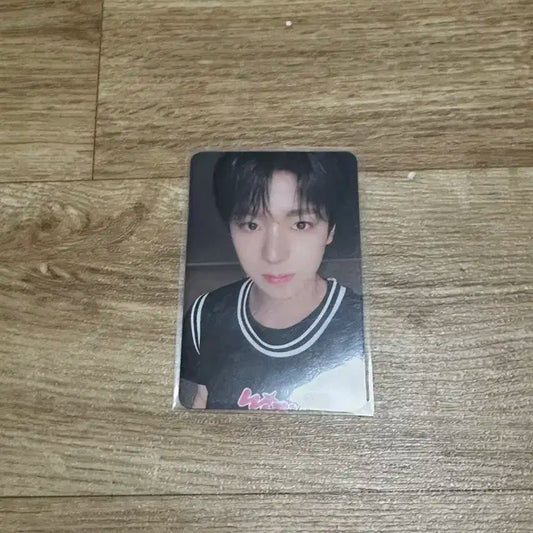 엔시티 위시 유우시 스테디 큐알 포카