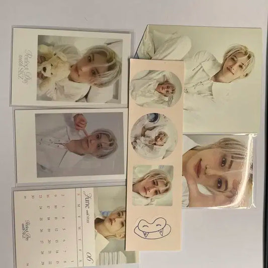 스트레이키즈 스키즈 방찬 필릭스