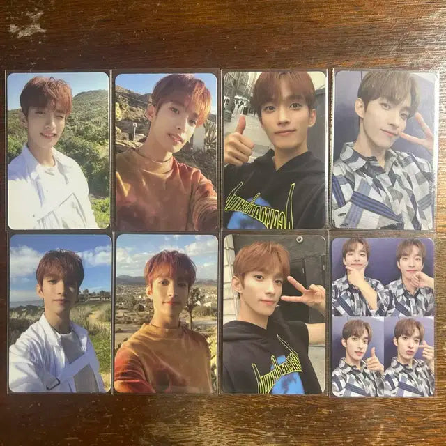세븐틴 전멤 포카 양도))탈덕처분 덤 많이 드려요