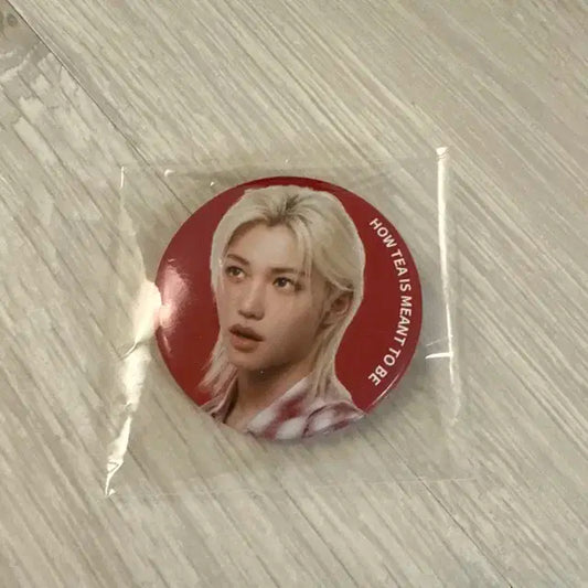 공차 필릭스 캔뱃지