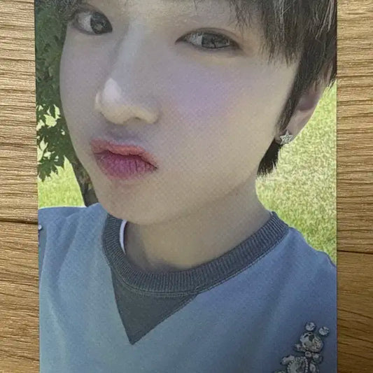 엔시티위시 사쿠야 송버드 레터 포카 판매
