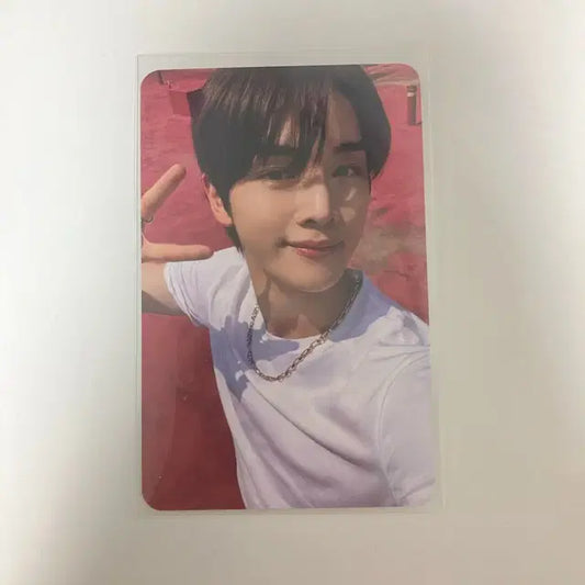 라이즈 성찬 포카