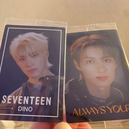 세븐틴 반다이 웨하스 포카 (준, 디노)   일괄 2천원
